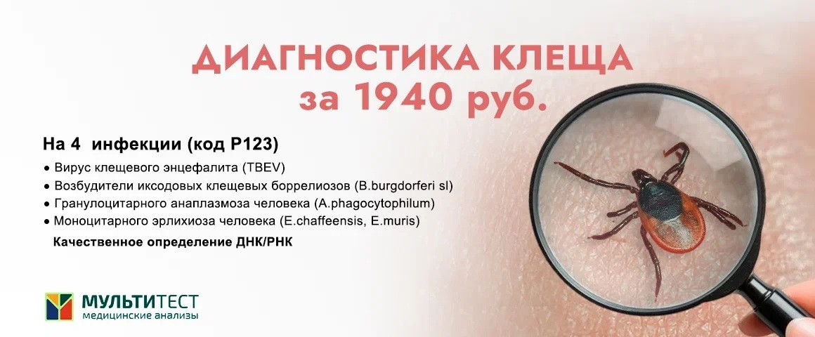 Диагностика клеща